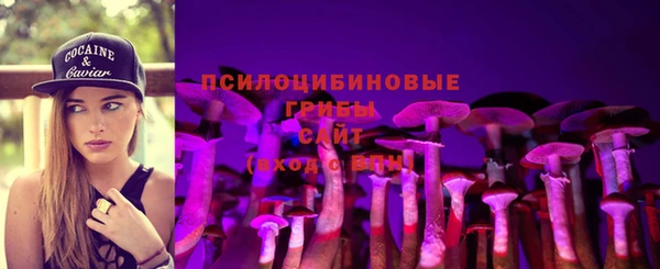 индика Армянск