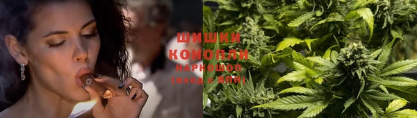 индика Нефтекумск