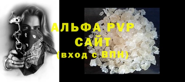 стафф Арсеньев