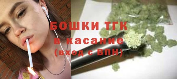 стафф Арсеньев