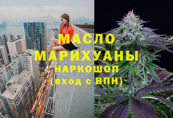 индика Армянск