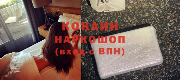 индика Армянск