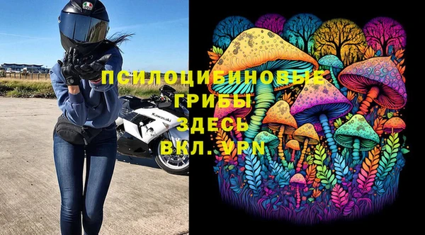 стафф Арсеньев