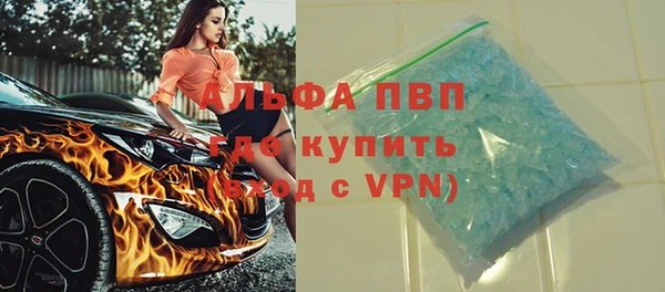 стафф Арсеньев