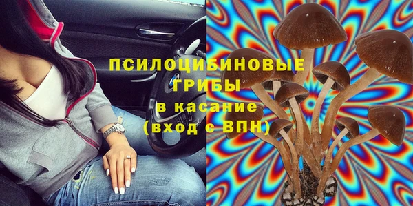 стафф Арсеньев