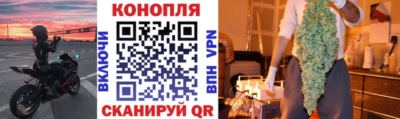 Бошки Шишки ГИДРОПОН  Бабушкин 
